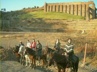  Équitation 